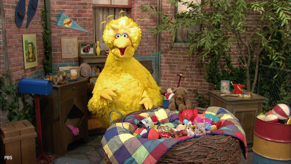 Big Bird 16x9 880