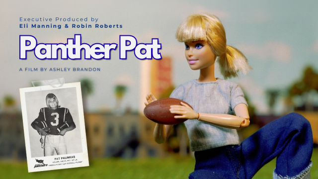 CRM   Thumb  1200 x 675  Panther Pat
